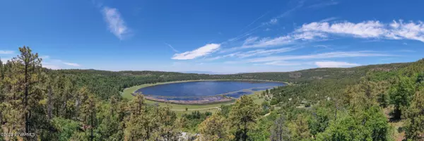 Mormon Lake, AZ 86038