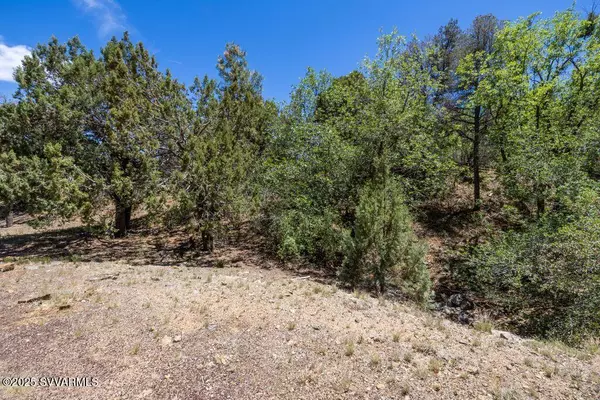 Prescott, AZ 86303,623 W Lee Boulevard