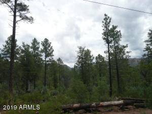 Payson, AZ 85541,2 Conifer Drive #2