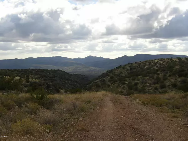 Unincorporated County, AZ 85377,58230 N Forest Service Road #0