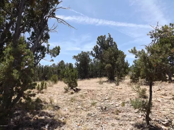 Heber, AZ 85928,3472 CAREFREE Road #131