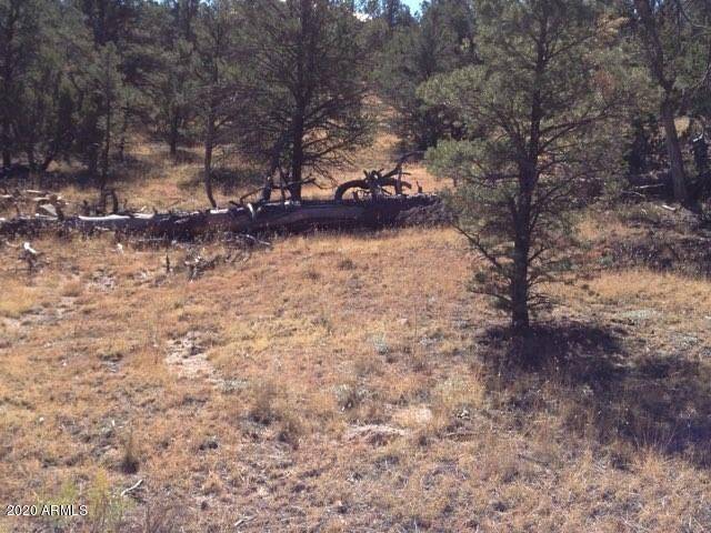 Heber, AZ 85928,3653 Zane Grey Trail #29