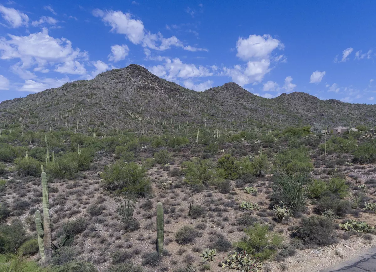 Cave Creek, AZ 85331,398 N 50th Street #VIEW