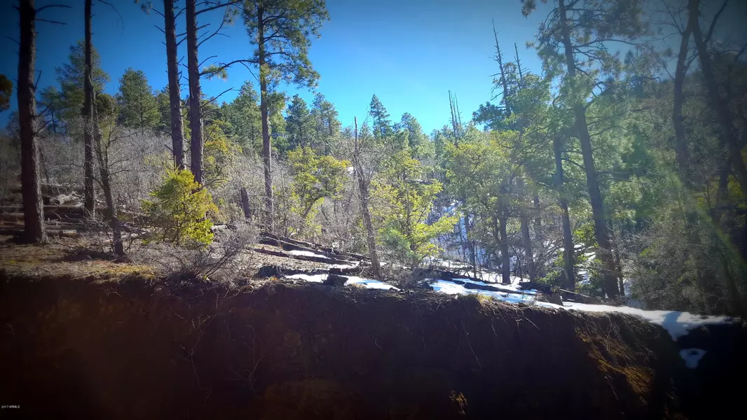 0 BREEZY PINE Road #N/A, Mayer, AZ 86333