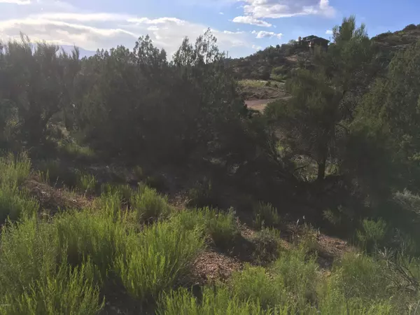 Rimrock, AZ 86335,4402 E CLIFFSIDE Trail #27