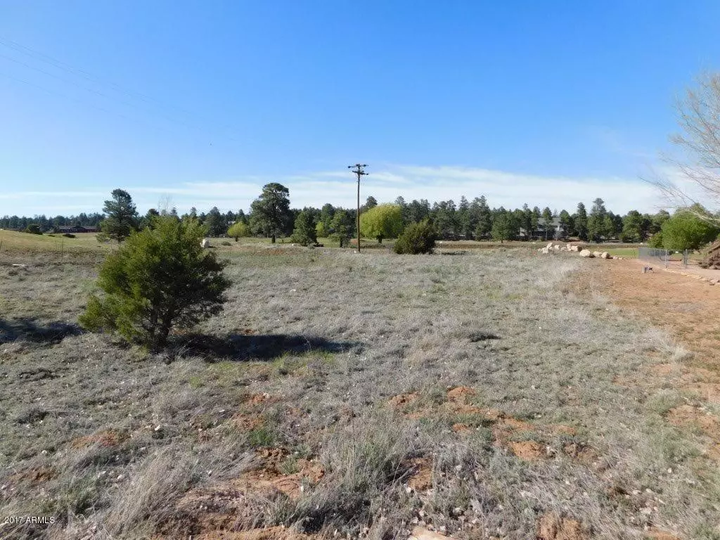 Overgaard, AZ 85933,2268 MEADOW Lane #184