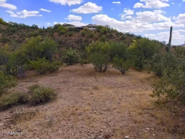 Wickenburg, AZ 85390,51200 N 296th Avenue #-