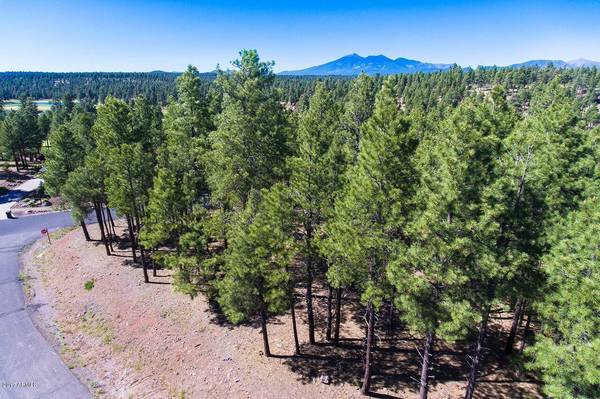 Flagstaff, AZ 86005,2061 PEERY FRANCIS -- #814