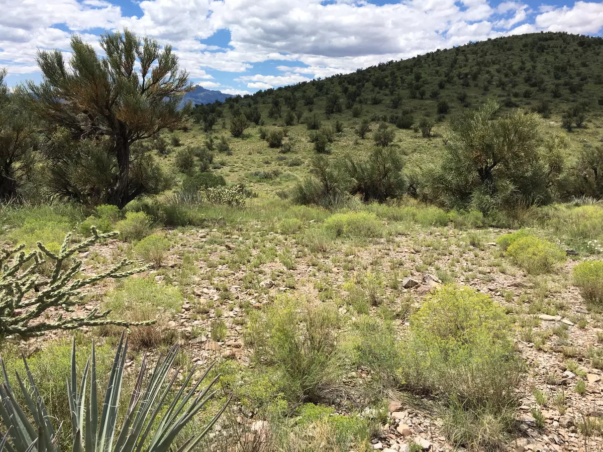 Seligman, AZ 86337,0 Harris Valley Ranch Road #-