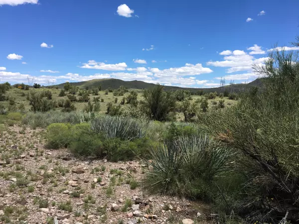 Seligman, AZ 86337,0 Harris Valley Ranch Road #-