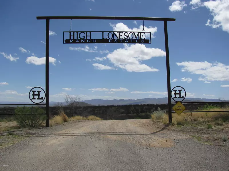 High Lonesome Road #89, Elfrida, AZ 85610