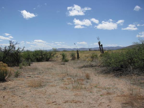 Elfrida, AZ 85610,High Lonesome Road #89