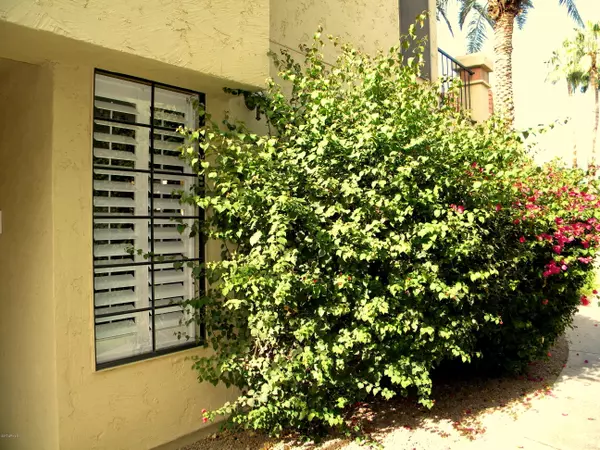 Scottsdale, AZ 85258,9707 E MOUNTAIN VIEW Road #1410