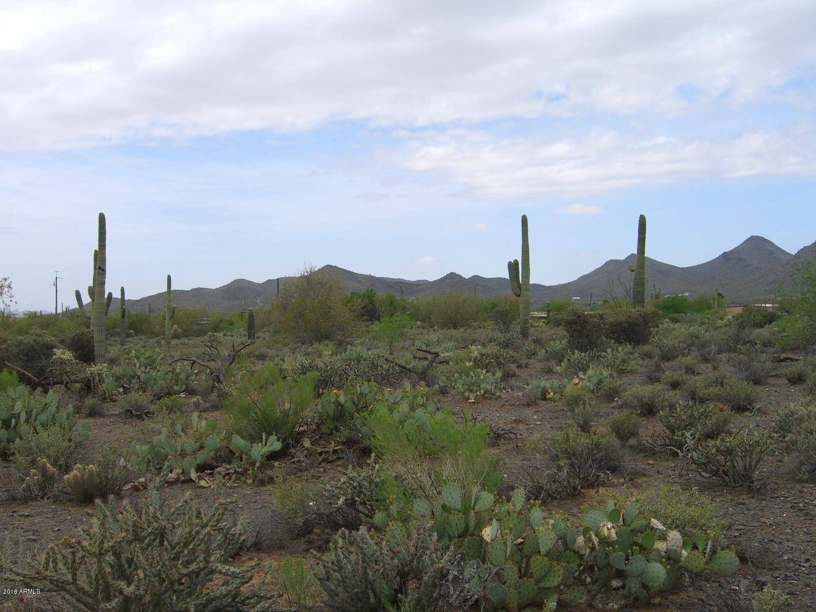 Cave Creek, AZ 85331,59 N Lone Mountain Road #-