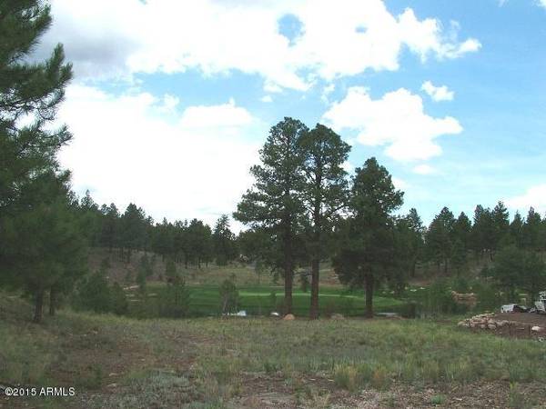 Flagstaff, AZ 86005,2054 E Barranca Drive #76