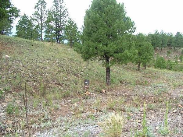 Flagstaff, AZ 86005,2054 E Barranca Drive #76