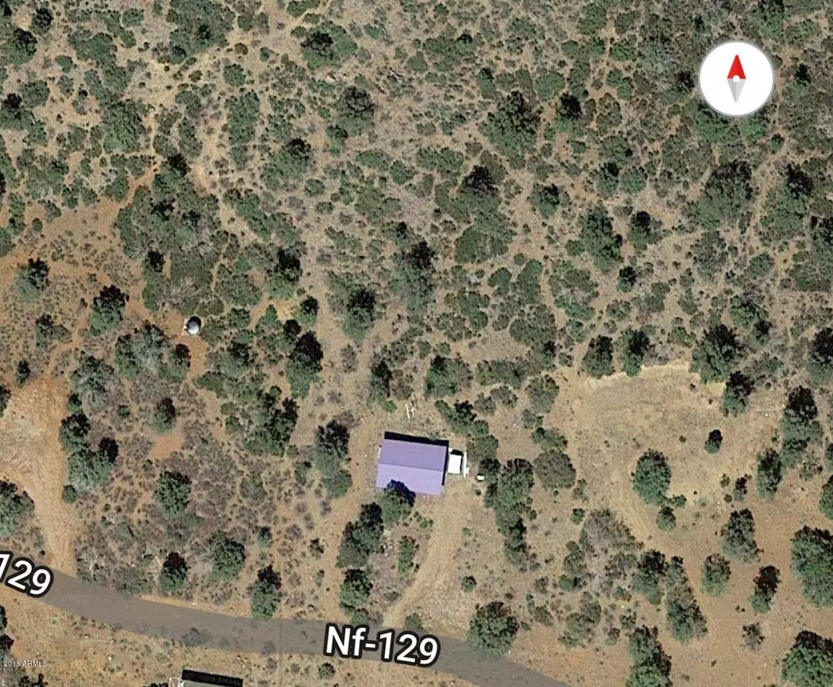 Young, AZ 85554,27 W WALNUT CREEK Road #-