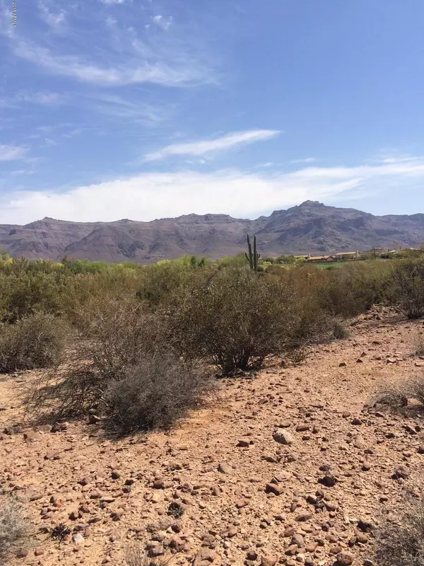 Gold Canyon, AZ 85118,7622 E WILDERNESS Trail #20