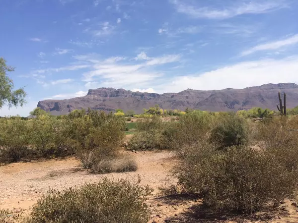 Gold Canyon, AZ 85118,7622 E WILDERNESS Trail #20