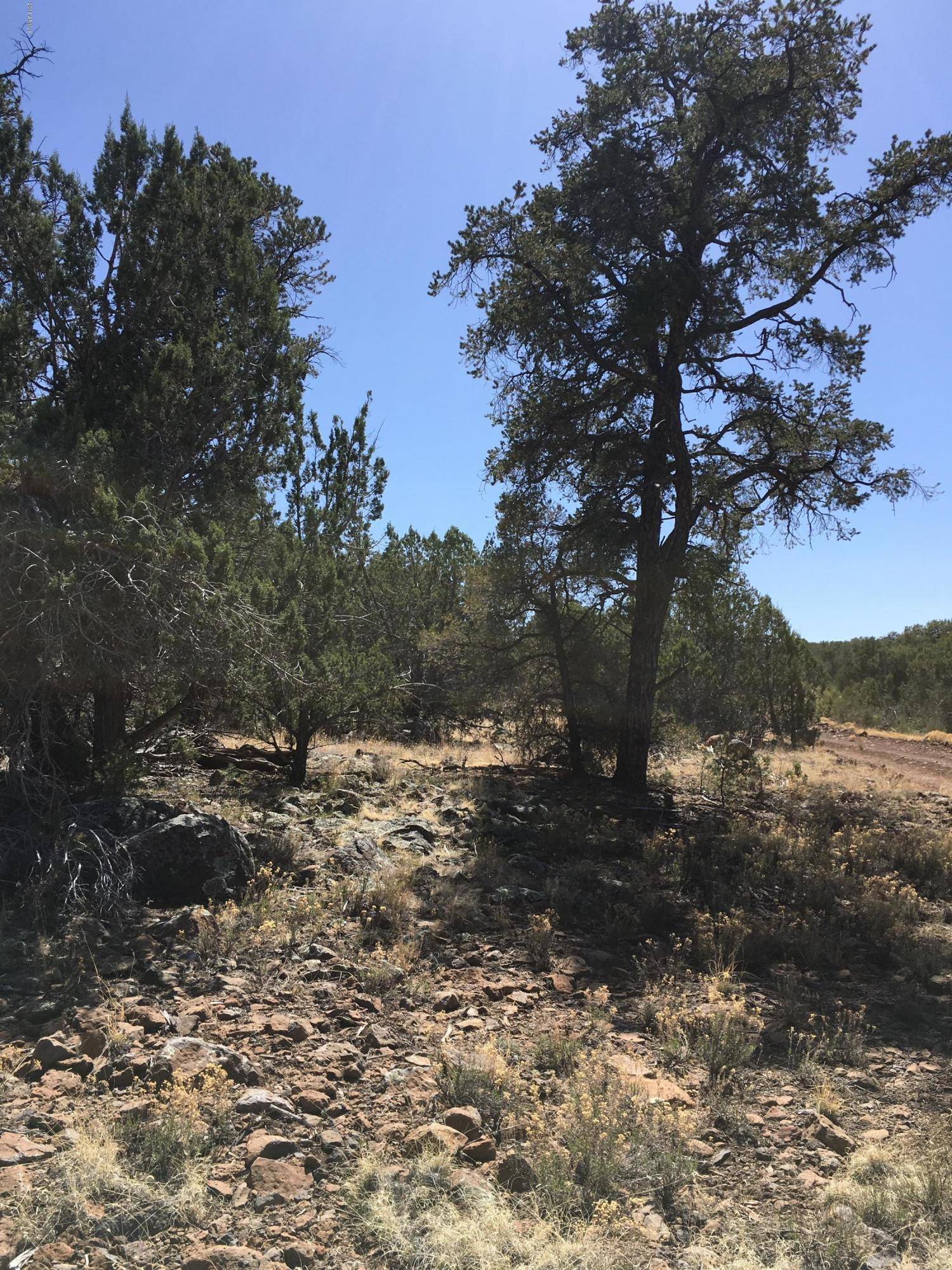 Seligman, AZ 86337,627 Ancient Way #627