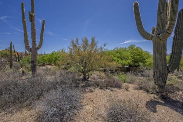 Scottsdale, AZ 85262,11100 E CINDER CONE Trail #35