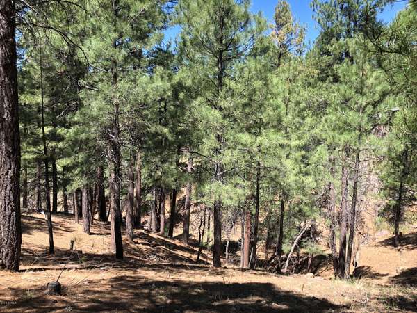 Flagstaff, AZ 86005,2266 Link Smith -- #633