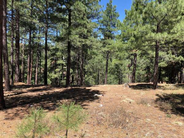 Flagstaff, AZ 86005,2266 Link Smith -- #633