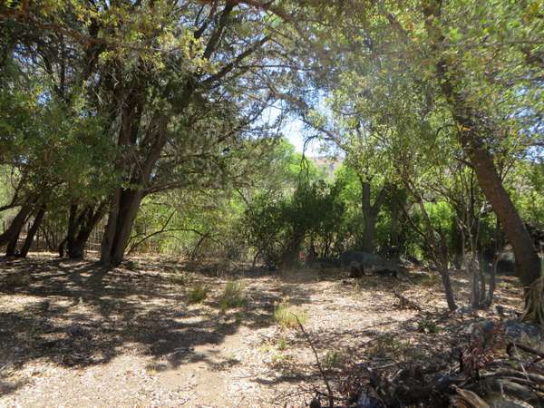 Yarnell, AZ 85362,22650 S Metate Forest Trail #-1-10