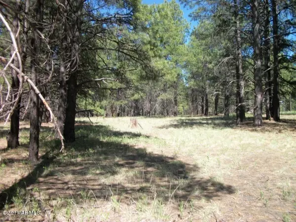 Flagstaff, AZ 86001,3 Coconino Forest Rd 867 -- #3T