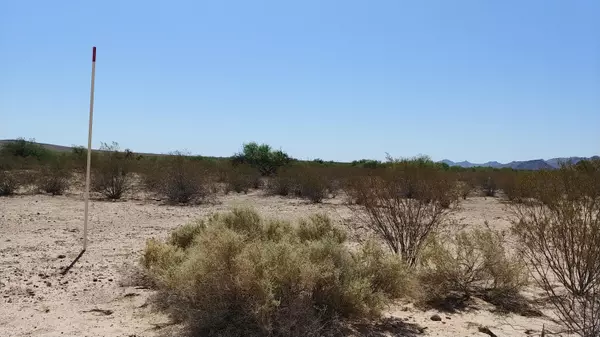 Arlington, AZ 85322,335 W Carver Road #-