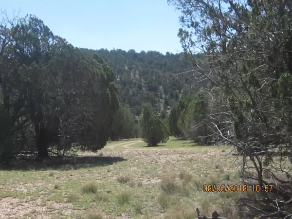 Peach Springs, AZ 86434,155 Peach Springs -- #-