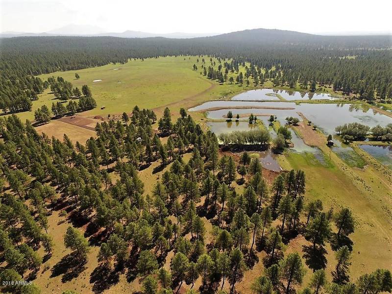 6929 E ROSILDA SPRINGS Road #160 acres, Williams, AZ 86046