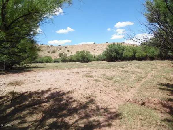 St Johns, AZ 85936,108 River Springs Ranch, #3 Lot108 -- #108