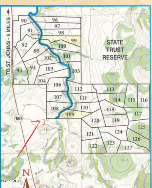 108 River Springs Ranch, #3 Lot108 -- #108, St Johns, AZ 85936