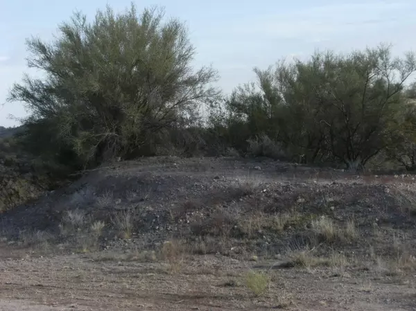 Wickenburg, AZ 85390,0 W LARREA Trail #8A