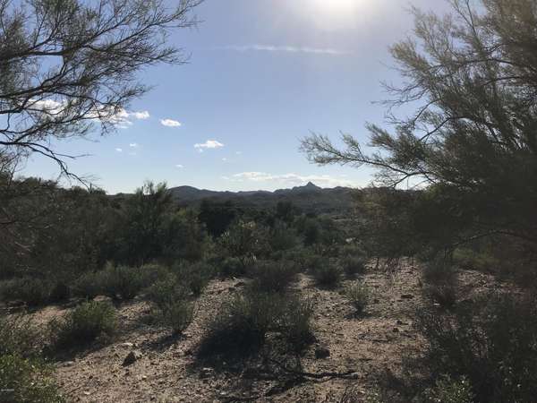 Wickenburg, AZ 85390,0 Mockingbird Road #0