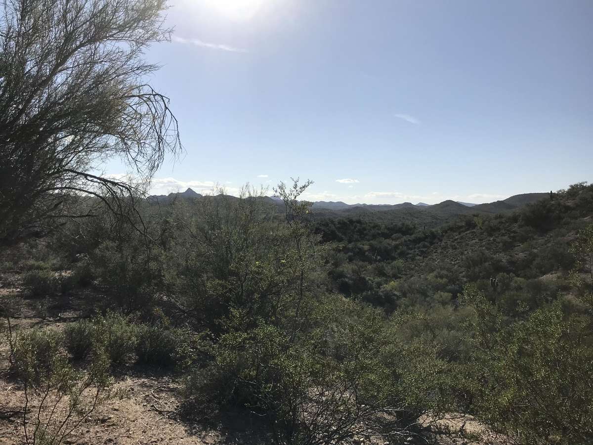 Wickenburg, AZ 85390,0 Mockingbird Road #0