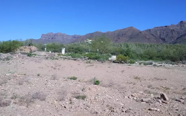 Gold Canyon, AZ 85118,0 S Buckboard Road #-