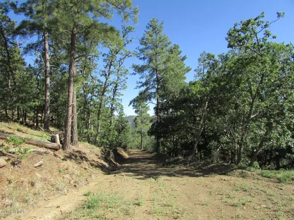 Prescott, AZ 86303,4 E BALD MOUNTAIN Road #6.5 acres