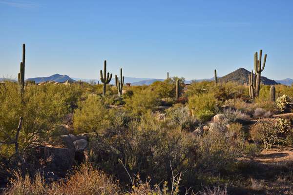 Scottsdale, AZ 85262,11060 E BALANCING ROCK Road #50