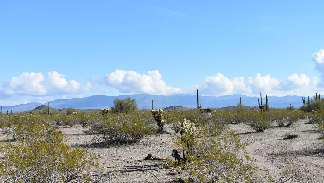 343 W HIGHLAND Road #LOT 1, Tonopah, AZ 85354