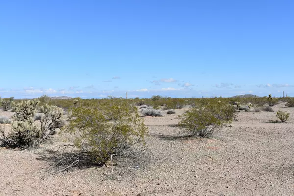 Tonopah, AZ 85354,45 N 343RD Avenue #LOT 2