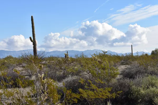 Tonopah, AZ 85354,343 N HIGHLAND Road #LOT 3
