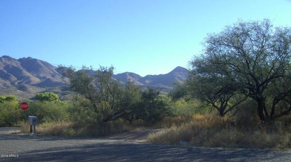 Rio Rico, AZ 85648,444 CAMINO AGOSTO -- #-