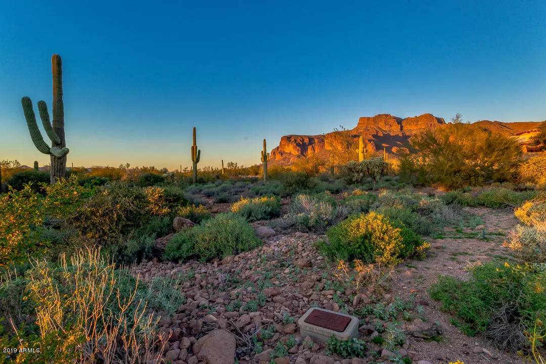 Apache Junction, AZ 85119,6830 E Quail Hideaway Lane #50