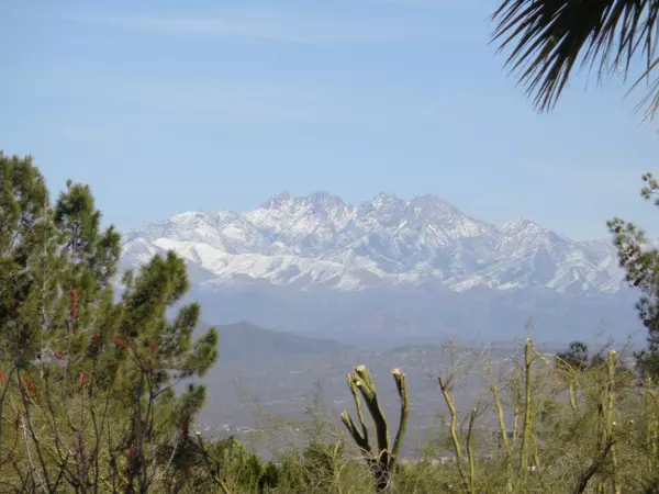 Fountain Hills, AZ 85268,15407 E Palisades Boulevard