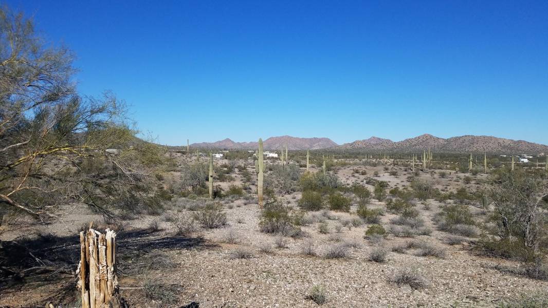 0 N ROYCE Road #3, San Tan Valley, AZ 85142