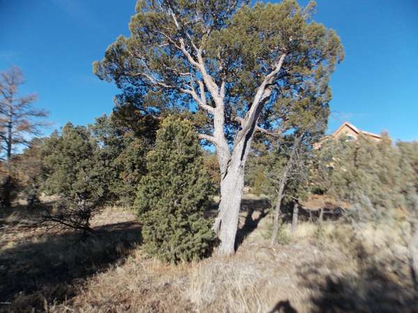 Heber, AZ 85928,1500 LOW MOUNTAIN Trail #171