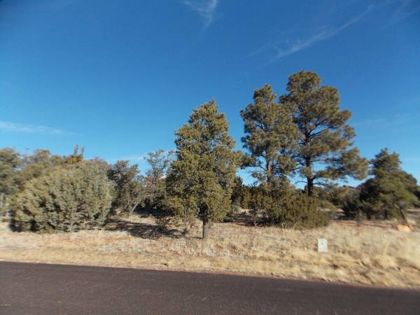 Heber, AZ 85928,1500 LOW MOUNTAIN Trail #171