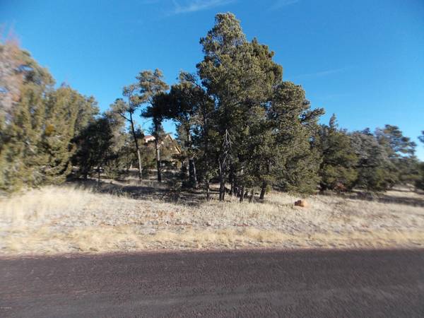 Heber, AZ 85928,1500 LOW MOUNTAIN Trail #171